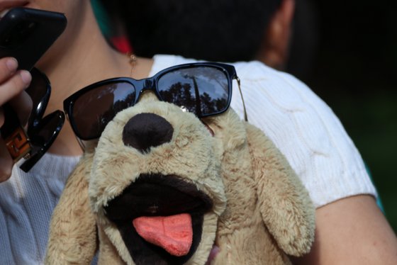 Die Fünf Freunde in Haus Heliand
